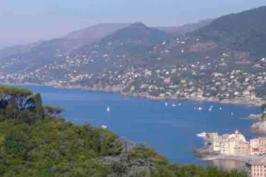 Acqua Marina Apartment Camogli Exterior photo