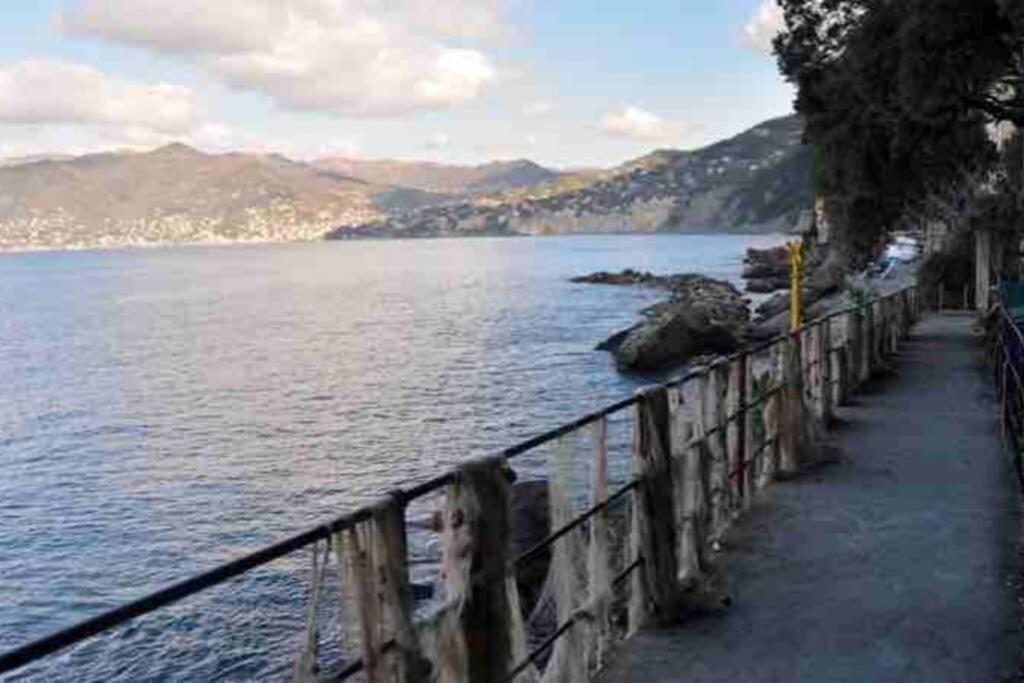 Acqua Marina Apartment Camogli Exterior photo